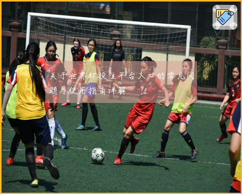 关于世界杯投注平台入口的常见问题与使用指南详解