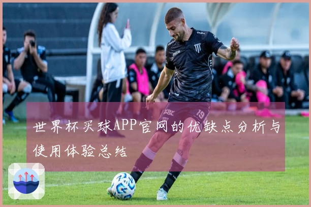 世界杯买球APP官网的优缺点分析与使用体验总结