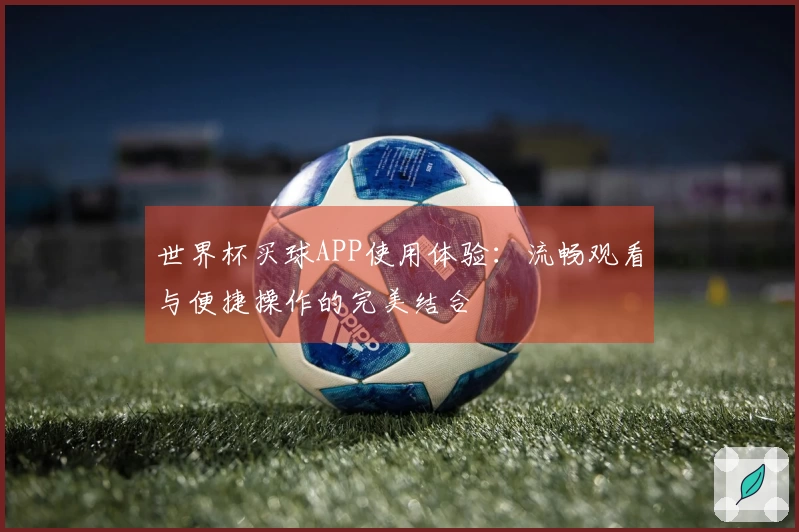 世界杯买球APP使用体验：流畅观看与便捷操作的完美结合