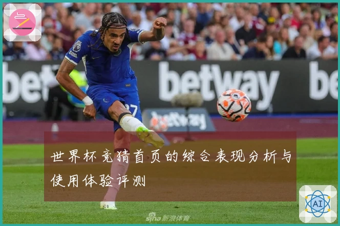 世界杯竞猜首页的综合表现分析与使用体验评测