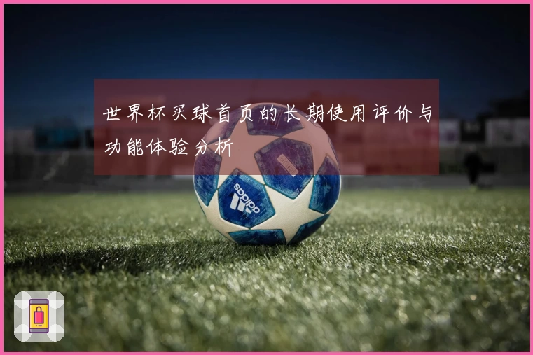 世界杯买球首页的长期使用评价与功能体验分析