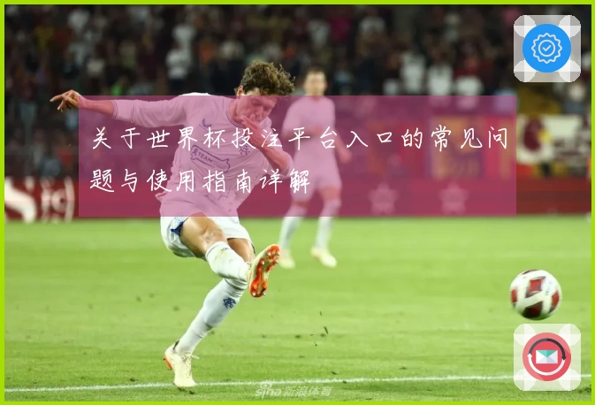 关于世界杯投注平台入口的常见问题与使用指南详解
